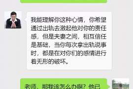 卢湾调查事务所