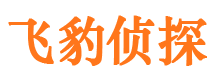 卢湾市侦探调查公司